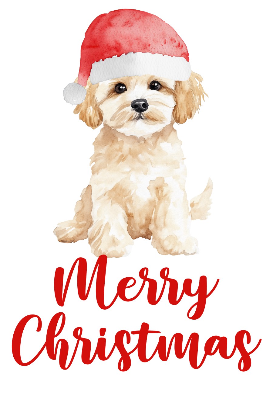 Watercolor illustration of a cute cream color Havapoo dog wearing a red Santa hat, accompanied by the festive text 'Merry Christmas' in bold red lettering, perfect for holiday-themed designs or Christmas decor