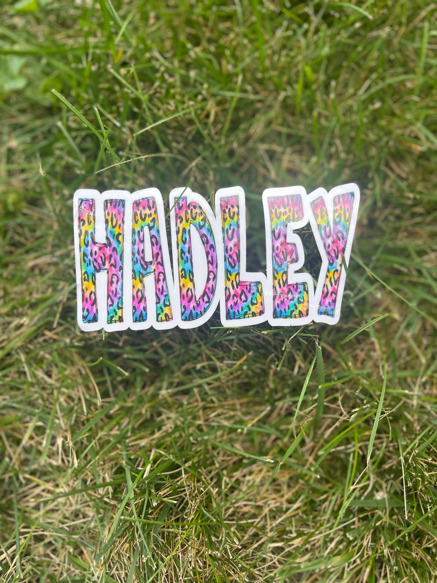 Rainbow Leopard Personalized Name Sticker